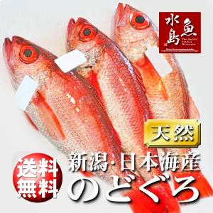 のどぐろ 新潟・日本海産 ノドグロ 600g以上・3尾（生冷凍）送料無料｜uomizushima