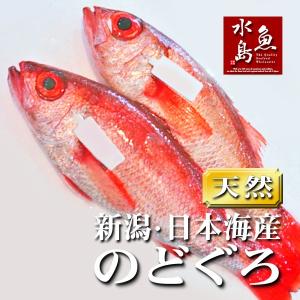 のどぐろ 新潟・日本海産 ノドグロ 400g以上・2尾（生冷凍）｜uomizushima