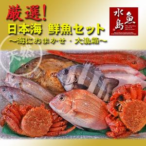 厳選 日本海の鮮魚セット「海におまかせ・大漁箱 ちょっと贅沢編」 大満足詰め合わせ｜uomizushima