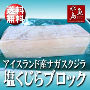塩くじら 汐クジラ 鯨 ブロック塊 1kg : 日本海の幸 新潟・魚水島
