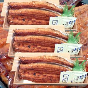炭火焼 鰻うなぎ蒲焼き ふっくらとろける極旨ウナギ 約30cm超特大 約200g×2尾×3セット 父の日ギフト/土用丑の日/お中元 送料無料