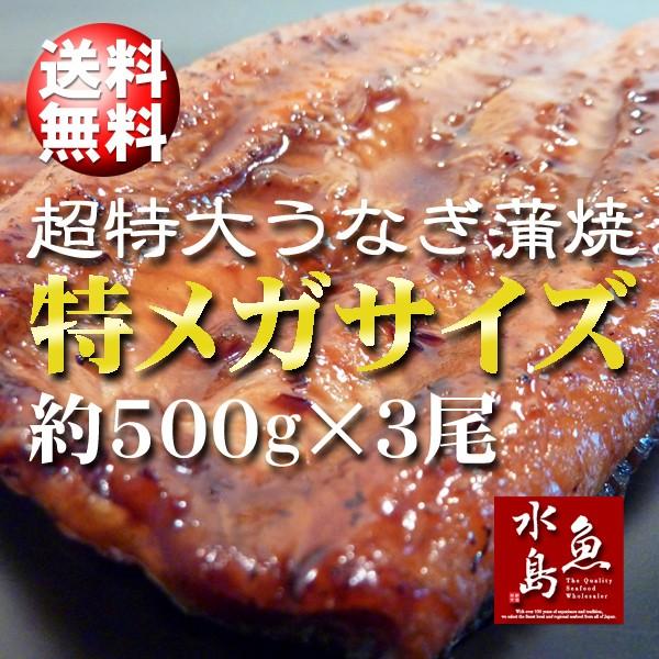 炭火焼 鰻うなぎ蒲焼き 超特大 極厚の食べ応え 特メガサイズ 約500g×3尾 父の日ギフト/土用丑...