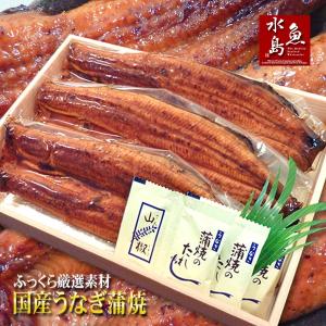 国産 鰻うなぎ蒲焼き ふっくら厳選素材 約30cm超特大 約200g×3尾 父の日ギフト/土用丑の日/お中元