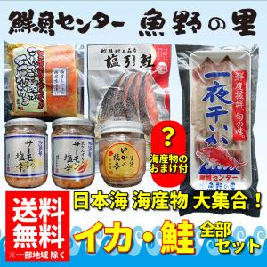 海産物 いか 鮭 日本海 新潟県 日本海海産物 全部セット (一夜干しいか 村上産塩引鮭 サーモン塩辛 生漬塩辛) 送料無料(本州・中四国のみ)