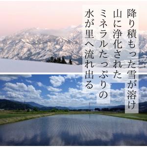 令和7年度産 南魚沼コシヒカリ 味に自信あり!...の詳細画像1