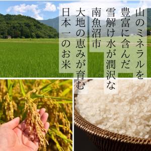 令和7年度産 南魚沼コシヒカリ 味に自信あり!...の詳細画像2