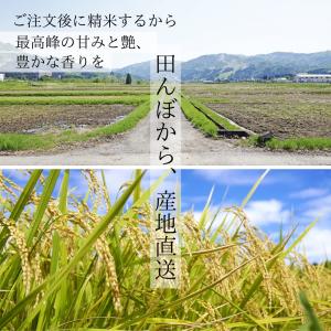 令和7年度産 南魚沼コシヒカリ 味に自信あり!...の詳細画像3