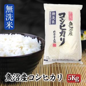 令和7年産 米 5kg 魚沼産コシヒカリ 無洗米...の商品画像