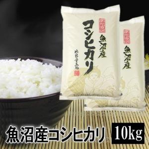 令和5年産 米 10kg 5kg×2 魚沼産コシヒカリ 令和5年産 白米 送料無料（北海道・九州・沖縄は除く）離島は発送不可｜uonumabeikoku