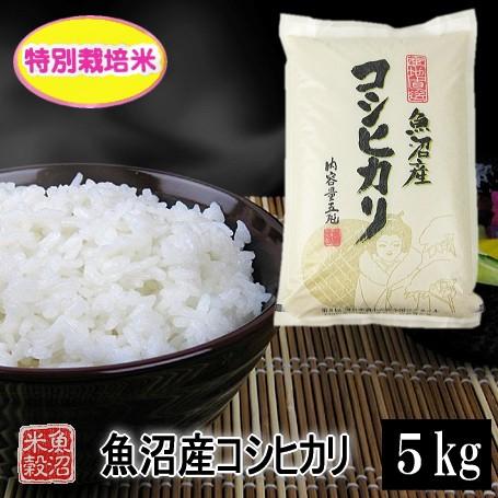 米 5kg 魚沼産コシヒカリ特別栽培米 令和5年産 白米 送料無料（北海道・九州・沖縄は除く）離島は...