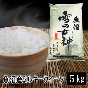 新之助（しんのすけ） 米 10kg 5kg×2 魚沼産新之助 令和7年産 白米