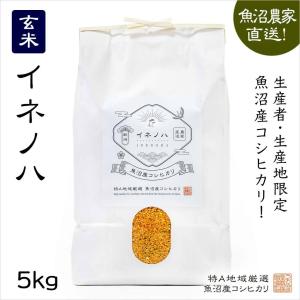 魚沼産コシヒカリ 玄米５kg｜uonumakome