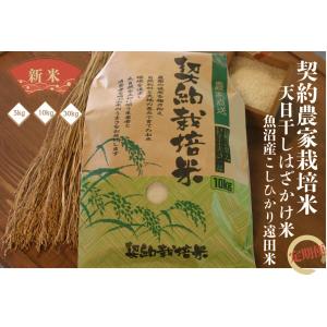 コシヒカリ 【2025年度新米】十日町産コシヒカリ30kg : 魚沼の里 芳屋