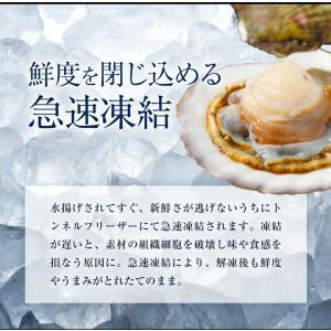 訳あり 生ほたて貝柱 1kg 無選別サイズ 割...の詳細画像5