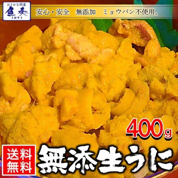うに 雲丹 冷凍生うに 無添加 400g（100g×4P）ミョウバン不使用 うに丼8杯分 寿司 北海...