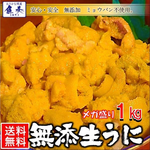 うに 雲丹 冷凍生うに 無添加 1kg（100g×10P） ミョウバン不使用 うに丼20杯分 寿司 ...