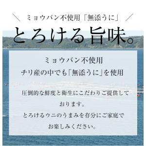 うに 雲丹 冷凍生うに 無添加 1kg(100...の詳細画像3