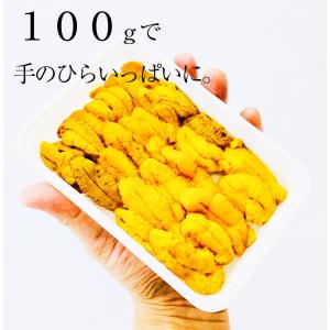 うに 雲丹 冷凍生うに 無添加 1kg(100...の詳細画像4
