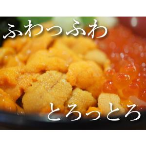 うに 雲丹 冷凍生うに 無添加 1kg(100...の詳細画像5