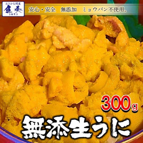 うに 雲丹 冷凍生うに 無添加 300g（100g×3P）ミョウバン不使用 ウニ 同梱推奨 うに丼6...
