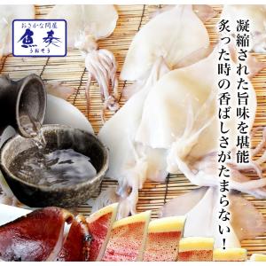 真いか 一夜干し 特大サイズ4枚 北海道産 稚...の詳細画像1