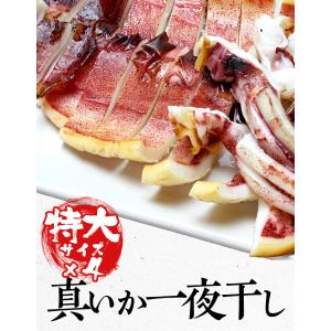 真いか 一夜干し 特大サイズ4枚 北海道産 稚...の詳細画像2