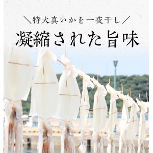真いか 一夜干し 特大サイズ4枚 北海道産 稚...の詳細画像3