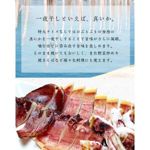 真いか 一夜干し 特大サイズ4枚 北海道産 稚...の詳細画像4