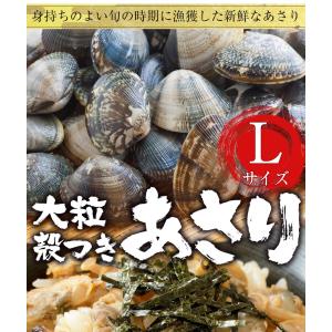 大粒あさり貝 殻つき 1kg(500g×2パッ...の詳細画像1