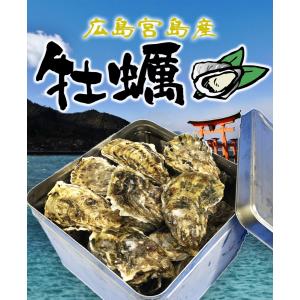 広島産 殻付き牡蠣 訳あり 3キロ(約30個)...の詳細画像1