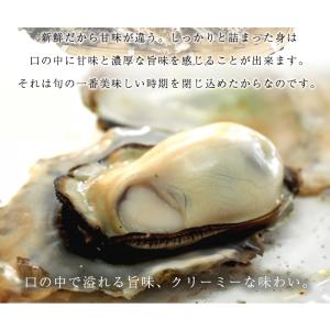 広島産 殻付き牡蠣 訳あり 3キロ(約30個)...の詳細画像4