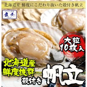 貝付ほたて 10枚 冷凍 ホタテ 帆立 片貝 北海 同梱推奨 BBQ 殻つき 在宅 母の日 父の日 敬老 母の日 父の日 敬老 中元 ギフト