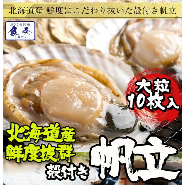 貝付ほたて 10枚 冷凍 ホタテ 帆立 片貝 北海 同梱推奨 BBQ 殻つき 在宅 母の日 父の日 ...