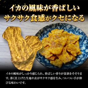 訳あり いか姿フライ 220g 折れイカ姿フラ...の詳細画像3