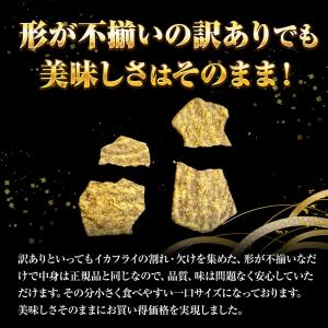 訳あり いか姿フライ 220g 折れイカ姿フラ...の詳細画像4