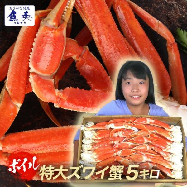 ボイル ズワイガニ 特大 脚 5kg お歳暮 ギフト かに カニ 蟹 ずわい 歳末 お歳暮 年末グル...