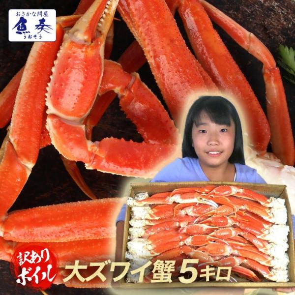 ボイル ズワイガニ 脚 5kg 訳あり しゃぶしゃぶ用 ずわい ボイル メガ盛り かに カニ 蟹 歳...
