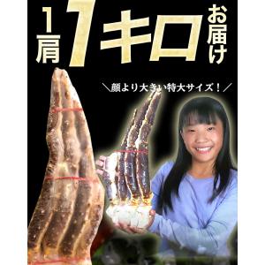 特大 生 タラバガニ 脚 1kg 5Lサイズ ...の詳細画像4