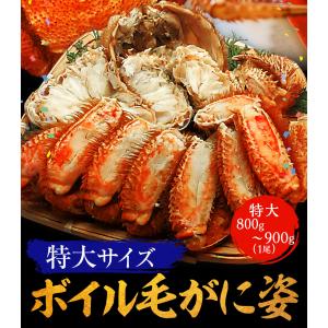 ボイル 毛ガニ 姿 特大 800g〜900g かに カニ 蟹 毛がに 毛蟹 ボイル 訳あり お歳暮 BBQ｜おさかな問屋魚奏