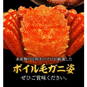 ボイル 毛ガニ 姿 特大 2尾 1.6kg〜1...の詳細画像3