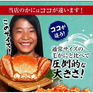 ボイル 毛ガニ 姿 特大 2尾 1.6kg〜1...の詳細画像4