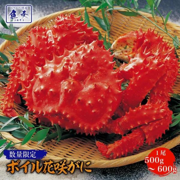 ボイル 花咲ガニ 1尾500〜600g 大サイズ 希少 姿身 姿 かに カニ 蟹 はなさき ハナサキ...