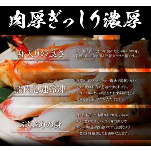 ボイル 三大蟹セット タラバガニ 肩 ズワイガ...の詳細画像5