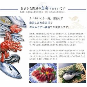 まぐろ マグロ 鮪 訳あり 刺身 メガ盛り 切...の詳細画像5
