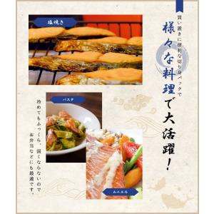 チリ産 甘塩銀鮭 切身 約70g×10切 さけ...の詳細画像4