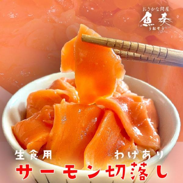 訳あり サーモン 切り落とし 500g たっぷり メガ盛り 切落し 生食用 海鮮 お試し 在宅 母の...