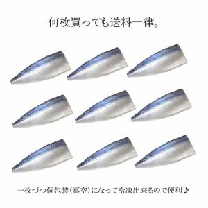 とろしめさば 国産 Lサイズ 片身真空 きずし...の詳細画像2