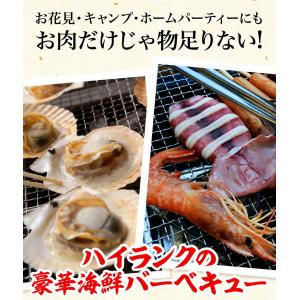 豪華 海鮮 BBQ バーベキューセット 赤エビ...の詳細画像4
