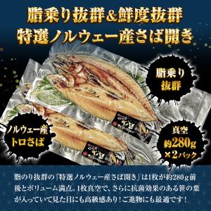 特選さば開き 2枚(1尾約280g×2)1枚真...の詳細画像2