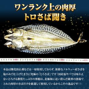 特選さば開き 2枚(1尾約280g×2)1枚真...の詳細画像3